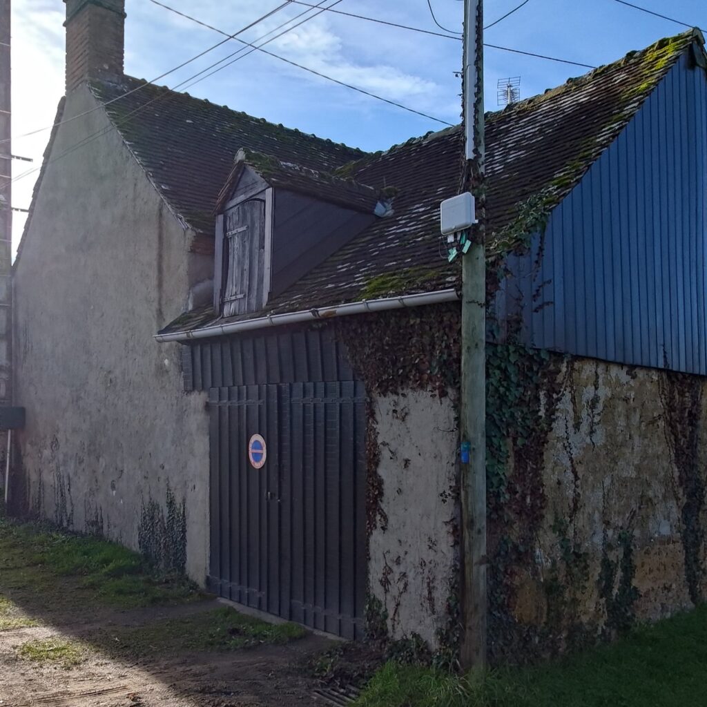 P_20241129_105738